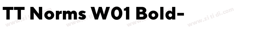 TT Norms W01 Bold字体转换 TT Norms W01 Bold字体转换